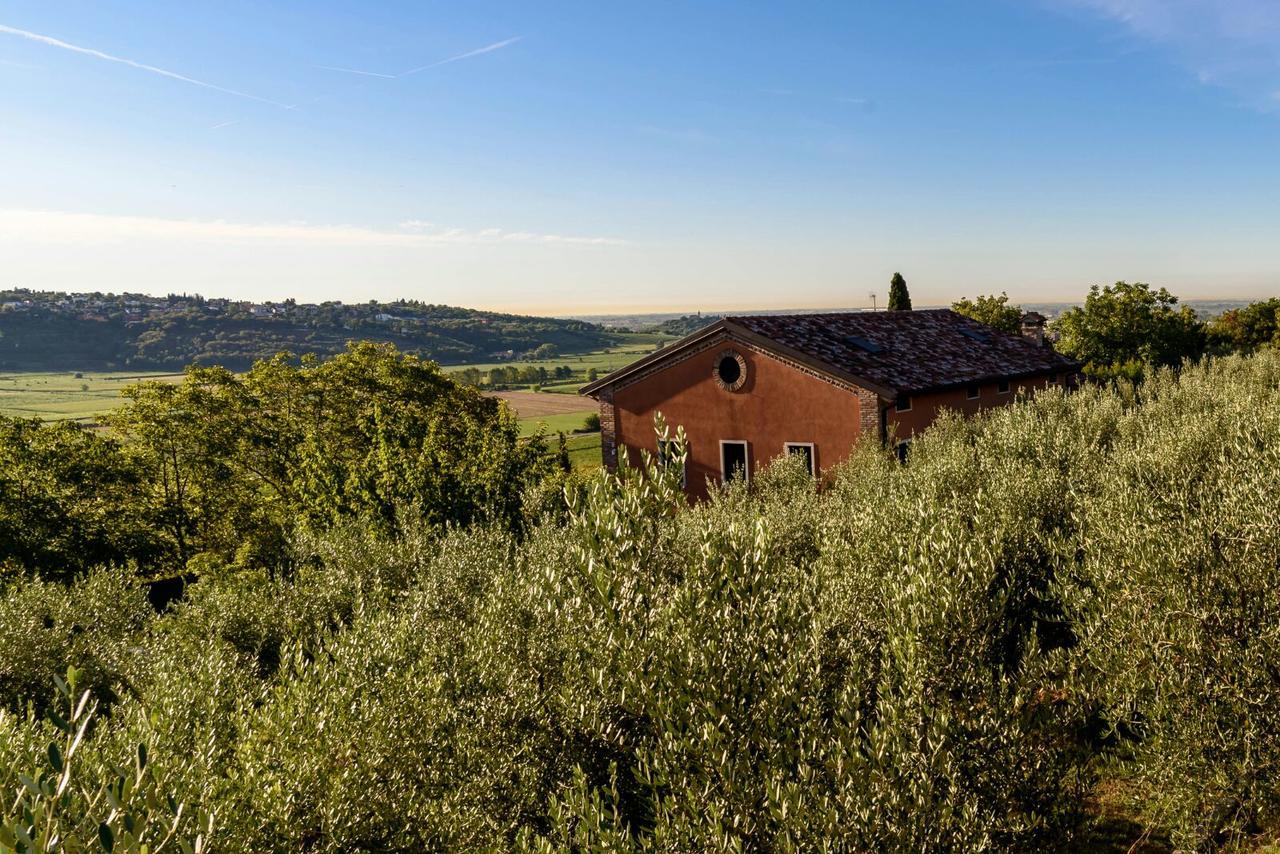 Ca' Dei Coci B&B San Martino Buon Albergo Exterior photo